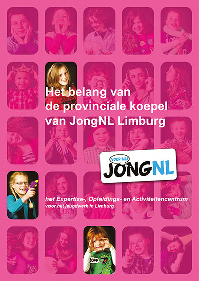 Studie naar het belang van de provinciale koepel van JongNL!!